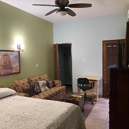 Le Quad - One Bedroom & Studio Apt - Private, Spacious & Secured Kingston Bagian luar foto